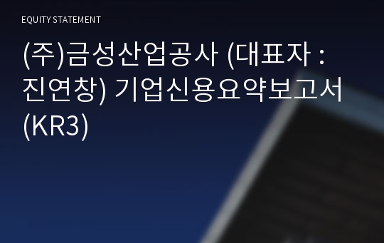 (주)금성산업공사 기업신용요약보고서 (KR3)