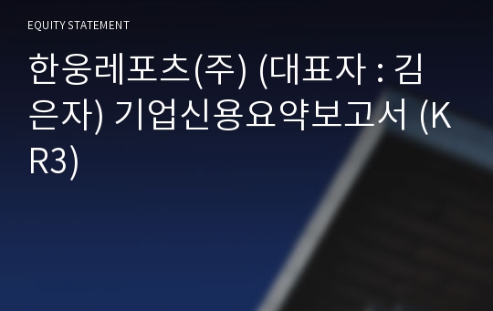 한웅레포츠(주) 기업신용요약보고서 (KR3)