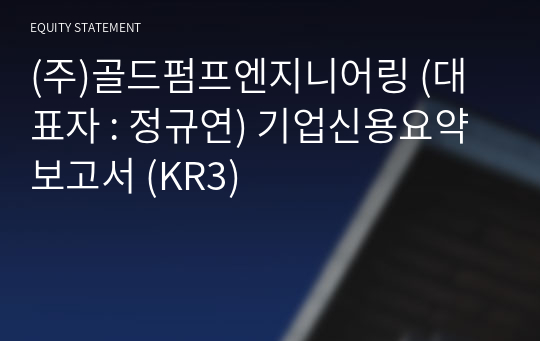 (주)골드펌프엔지니어링 기업신용요약보고서 (KR3)