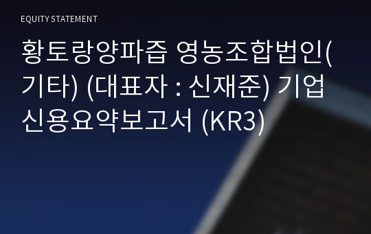 황토랑양파즙 영농조합법인 기업신용요약보고서 (KR3)