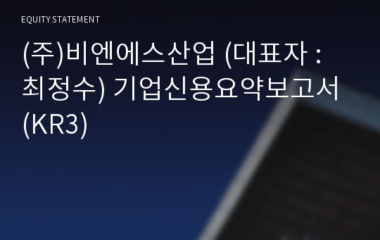 (주)비엔에스산업 기업신용요약보고서 (KR3)