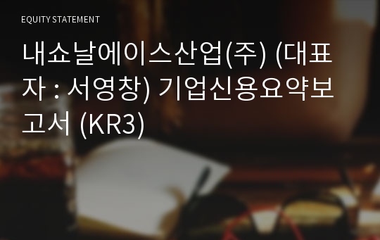 내쇼날에이스산업(주) 기업신용요약보고서 (KR3)