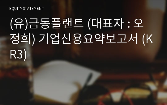 (유)금동플랜트 기업신용요약보고서 (KR3)