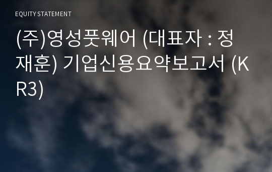 (주)영성풋웨어 기업신용요약보고서 (KR3)