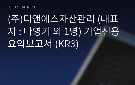 (주)티앤에스자산관리 기업신용요약보고서 (KR3)