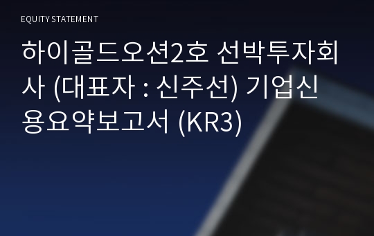 하이골드오션2호 선박투자회사 기업신용요약보고서 (KR3)