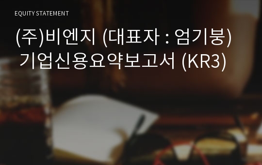 (주)비엔지 기업신용요약보고서 (KR3)