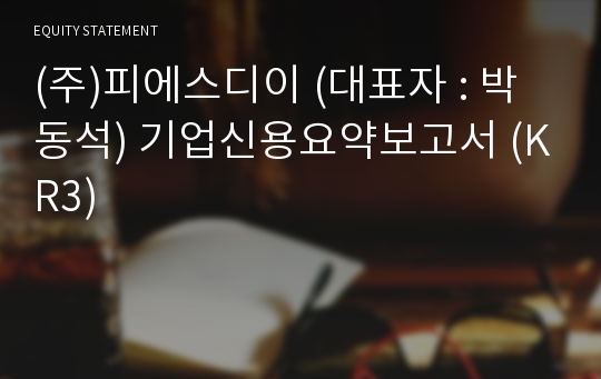 (주)피에스디이 기업신용요약보고서 (KR3)