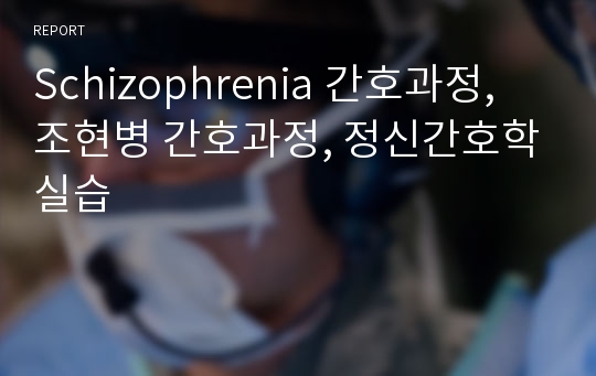 Schizophrenia 간호과정, 조현병 간호과정, 정신간호학실습