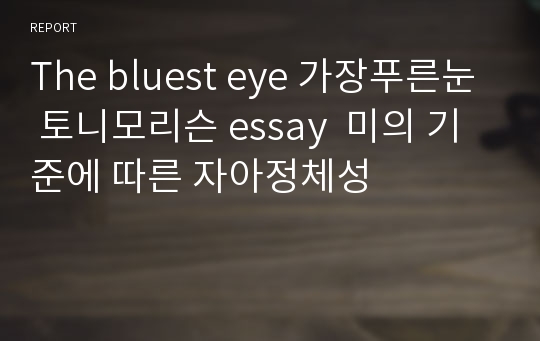 The bluest eye 가장푸른눈 토니모리슨 essay  미의 기준에 따른 자아정체성