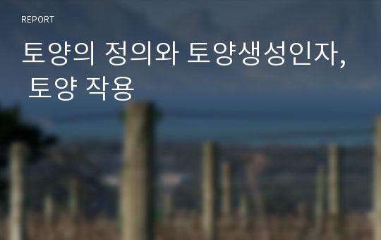 토양의 정의와 토양생성인자, 토양 작용