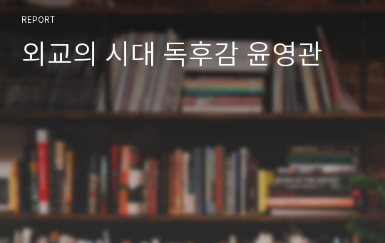 외교의 시대 독후감 윤영관