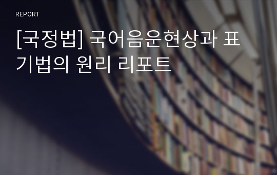 [국정법] 국어음운현상과 표기법의 원리 리포트