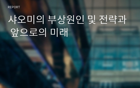 샤오미의 부상원인 및 전략과 앞으로의 미래