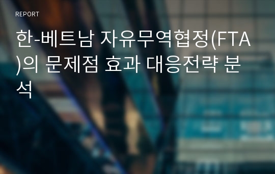 한-베트남 자유무역협정(FTA)의 문제점 효과 대응전략 분석