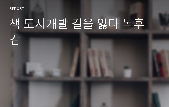 책 도시개발 길을 잃다 독후감