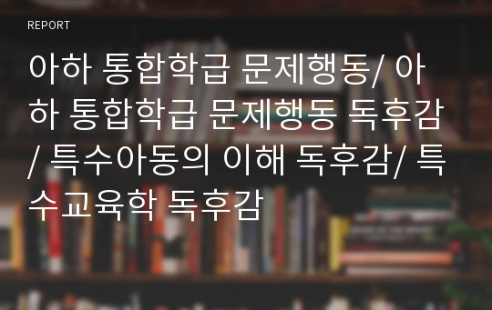 아하 통합학급 문제행동/ 아하 통합학급 문제행동 독후감/ 특수아동의 이해 독후감/ 특수교육학 독후감