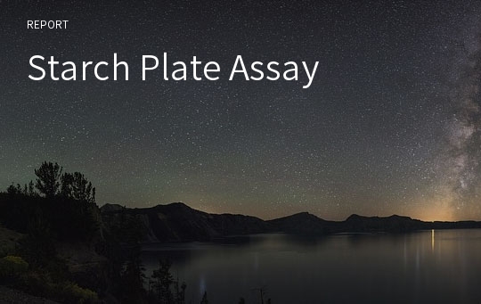 Starch Plate Assay