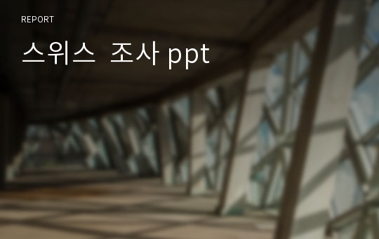 스위스  조사 ppt