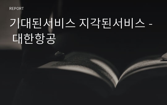 기대된서비스 지각된서비스 - 대한항공