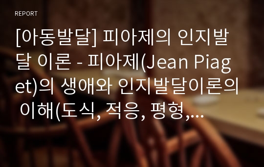 [아동발달] 피아제의 인지발달 이론 - 피아제(Jean Piaget)의 생애와 인지발달이론의 이해(도식, 적응, 평형, 인지발달 4단계) 및 인지발달이론에 대한 평가