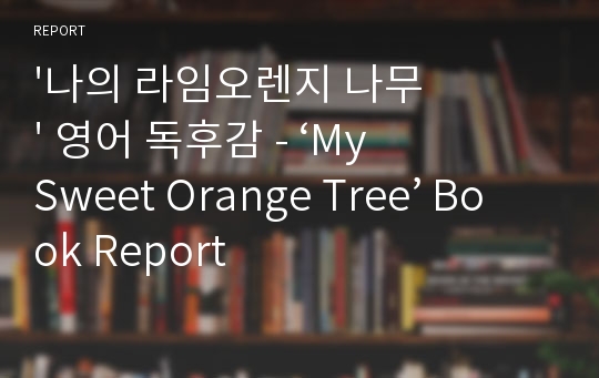 &#039;나의 라임오렌지 나무&#039; 영어 독후감 - ‘My Sweet Orange Tree’ Book Report