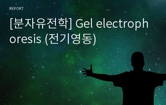 [분자유전학] Gel electrophoresis (전기영동)