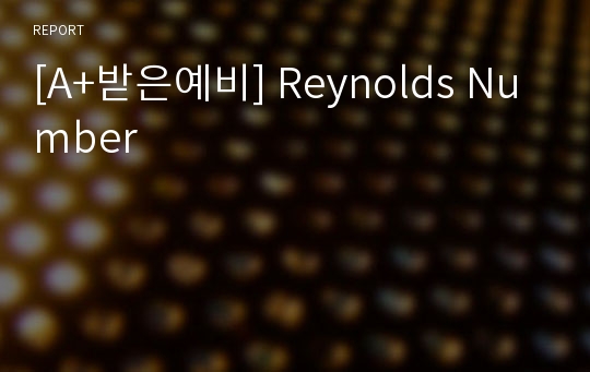 [A+받은예비] Reynolds Number