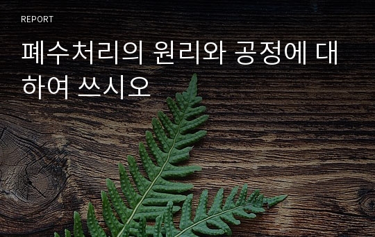 폐수처리의 원리와 공정에 대하여 쓰시오