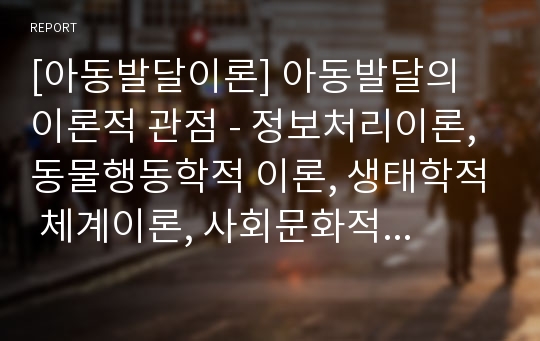 [아동발달이론] 아동발달의 이론적 관점 - 정보처리이론, 동물행동학적 이론, 생태학적 체계이론, 사회문화적 이론