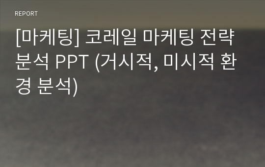 [마케팅] 코레일 마케팅 전략 분석 PPT (거시적, 미시적 환경 분석)