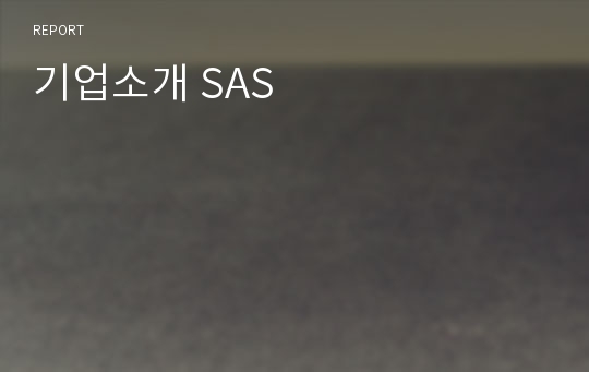 기업소개 SAS