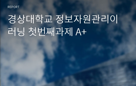 경상대학교 정보자원관리이러닝 첫번째과제 A+