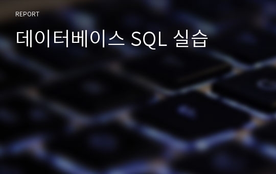 데이터베이스 SQL 실습