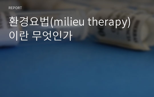 환경요법(milieu therapy) 이란 무엇인가