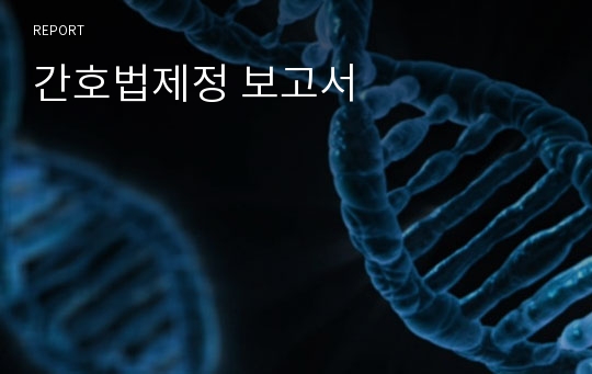 간호법제정 보고서