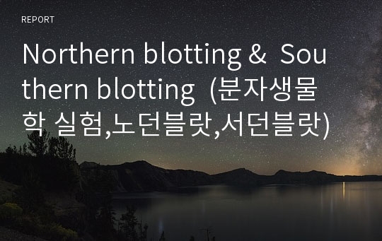 Northern blotting &amp;  Southern blotting  (분자생물학 실험,노던블랏,서던블랏)