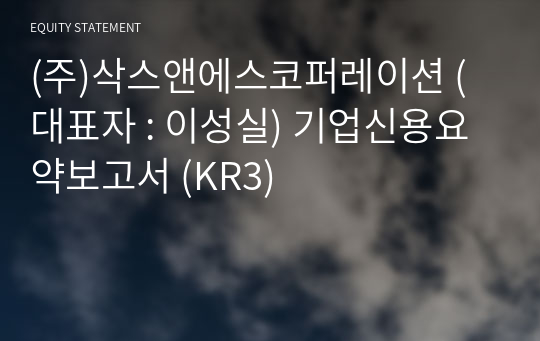 (주)삭스앤에스코퍼레이션 기업신용요약보고서 (KR3)