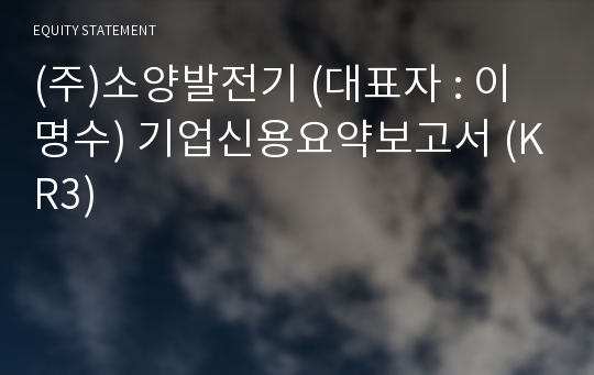 (주)소양발전기 기업신용요약보고서 (KR3)