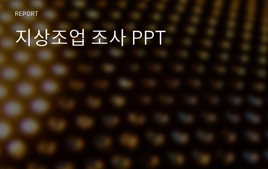 지상조업 조사 PPT