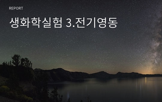 생화학실험 3.전기영동