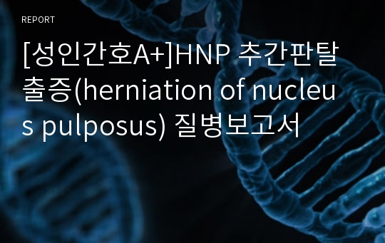 [성인간호A+]HNP 추간판탈출증(herniation of nucleus pulposus) 질병보고서