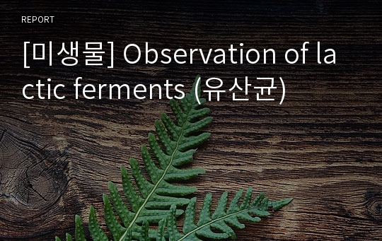 [미생물] Observation of lactic ferments (유산균)