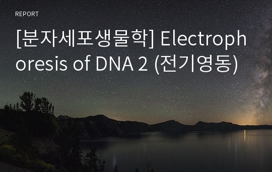 [분자세포생물학] Electrophoresis of DNA 2 (전기영동)