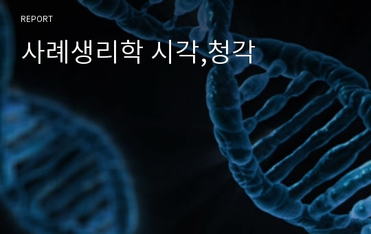 사례생리학 시각,청각