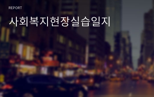 사회복지현장실습일지