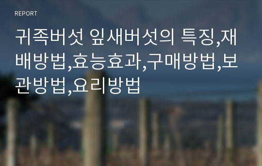 귀족버섯 잎새버섯의 특징,재배방법,효능효과,구매방법,보관방법,요리방법