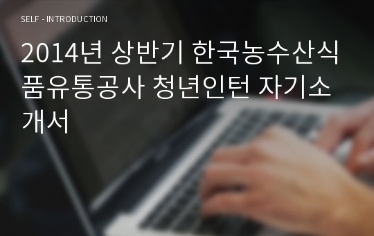 2014년 상반기 한국농수산식품유통공사 청년인턴 자기소개서