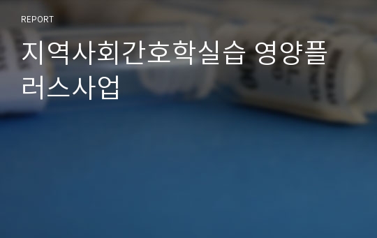 지역사회간호학실습 영양플러스사업