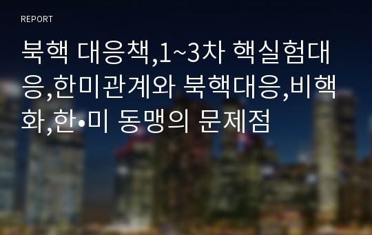 북핵 대응책,1~3차 핵실험대응,한미관계와 북핵대응,비핵화,한•미 동맹의 문제점